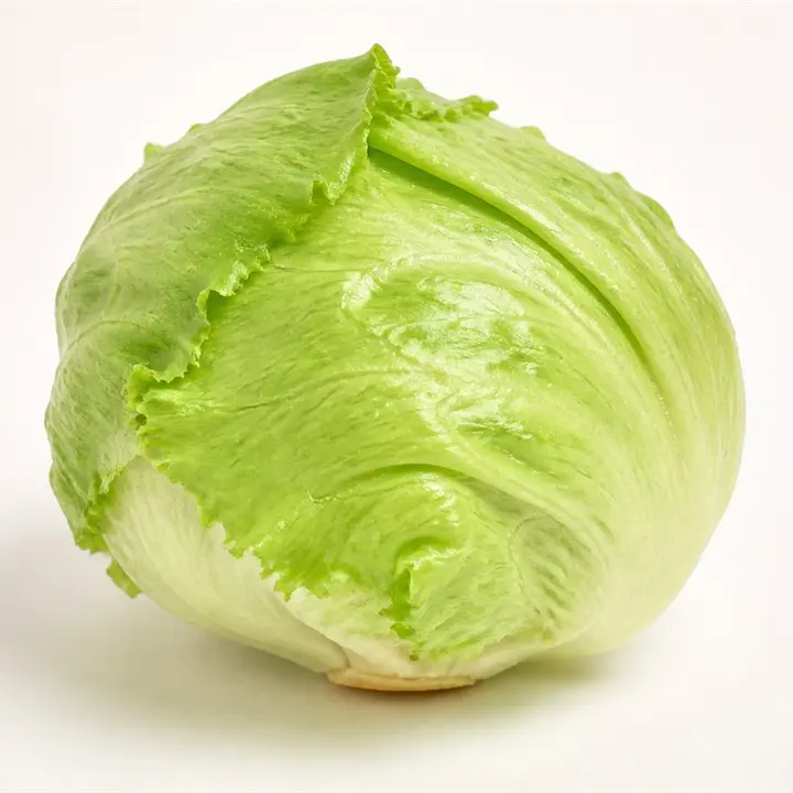 Iceberg Lettuce